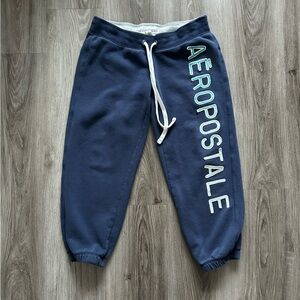 Y2K Aeropostale NavyJoggers